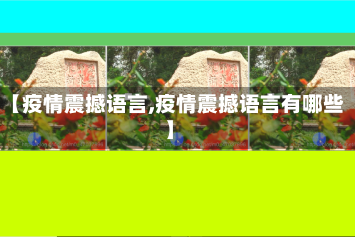 【疫情震撼语言,疫情震撼语言有哪些】