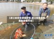 【浙江省安吉递铺疫情,浙江安吉疫情最新数据消息】