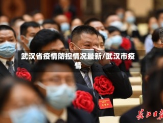 武汉省疫情防控情况最新/武汉市疫情