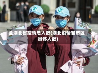 全湖北省疫情总人数(湖北疫情各市区具体人数)