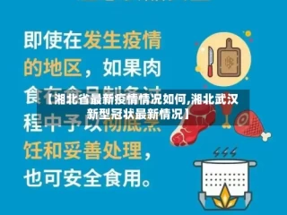 【湘北省最新疫情情况如何,湘北武汉新型冠状最新情况】