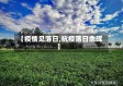 【疫情见落日,抗疫落日余晖】