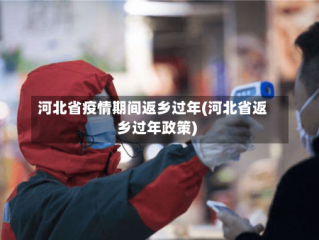 河北省疫情期间返乡过年(河北省返乡过年政策)