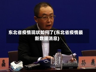 东北省疫情现状如何了(东北省疫情最新数据消息)