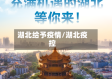 湖北给予疫情/湖北疫控