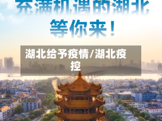 湖北给予疫情/湖北疫控