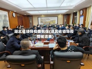 湖北省领导疫情包保(湖北省领导疫情被追责)