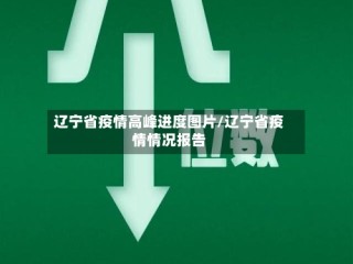 辽宁省疫情高峰进度图片/辽宁省疫情情况报告