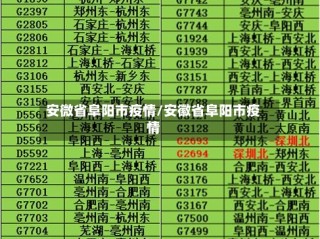 安微省阜阳市疫情/安徽省阜阳市疫情