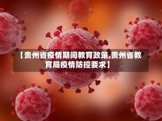 【贵州省疫情期间教育政策,贵州省教育局疫情防控要求】