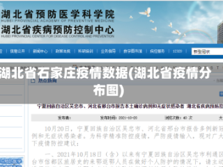 湖北省石家庄疫情数据(湖北省疫情分布图)