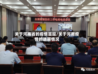 关于河南省的疫情蔓延/关于河南疫情的进展情况