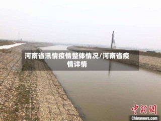 河南省汛情疫情整体情况/河南省疫情详情