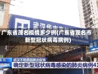 广东省茂名疫情多少例(广东省茂名市新型冠状病毒病例)