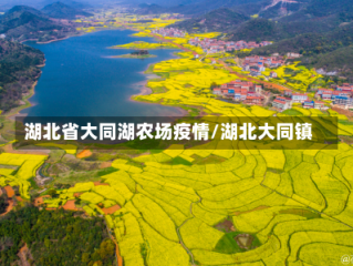 湖北省大同湖农场疫情/湖北大同镇