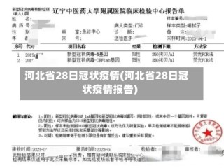 河北省28日冠状疫情(河北省28日冠状疫情报告)