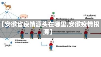 【安徽省疫情源头在哪里,安徽疫情根源】