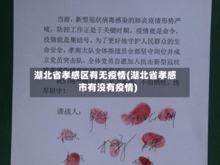 湖北省孝感区有无疫情(湖北省孝感市有没有疫情)