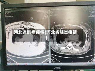 河北省肺病疫情(河北省肺炎疫情)
