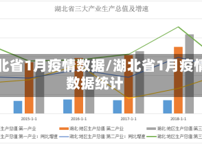 湖北省1月疫情数据/湖北省1月疫情数据统计