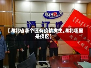 【湖北省哪个区有疫情发生,湖北哪里是疫区】