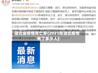 湖北省疫情死亡率(2021年湖北疫情死了多少人)