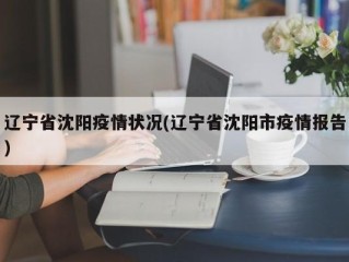 辽宁省沈阳疫情状况(辽宁省沈阳市疫情报告)