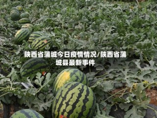 陕西省蒲城今日疫情情况/陕西省蒲城县最新事件