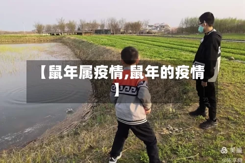 【鼠年属疫情,鼠年的疫情】