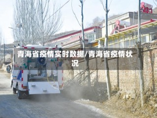 青海省疫情实时数据/青海省疫情状况