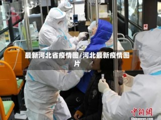 最新河北省疫情图/河北最新疫情图片
