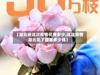 【湖北省这次疫情花费多少,这次疫情湖北花了国家多少钱】