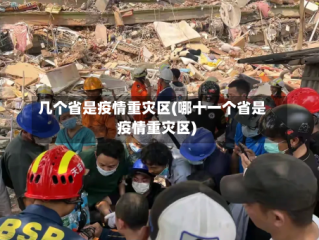 几个省是疫情重灾区(哪十一个省是疫情重灾区)