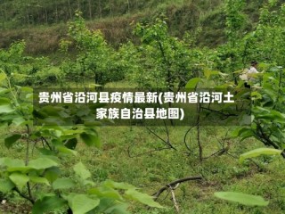 贵州省沿河县疫情最新(贵州省沿河土家族自治县地图)