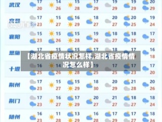 【湖北省疫情状况怎样,湖北省疫情情况怎么样】