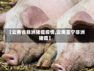 【云南省非洲猪瘟疫情,云南富宁非洲猪瘟】