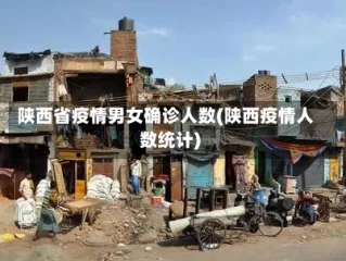 陕西省疫情男女确诊人数(陕西疫情人数统计)