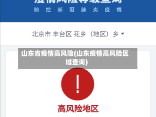山东省疫情高风险(山东疫情高风险区域查询)