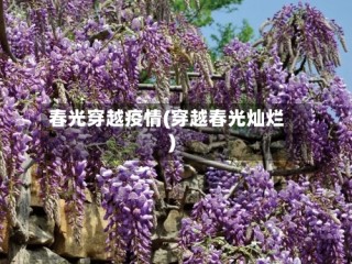 春光穿越疫情(穿越春光灿烂)