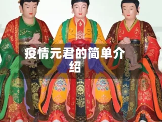 疫情元君的简单介绍