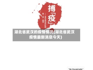 湖北省武汉的疫情情况(湖北省武汉疫情最新消息今天)