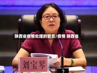 陕西省疫情处理的官员/疫情 陕西省