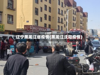 辽宁黑龙江省疫情(黑龙江沈阳疫情)