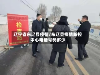 辽宁省东辽县疫情/东辽县疫情防控中心电话号码多少