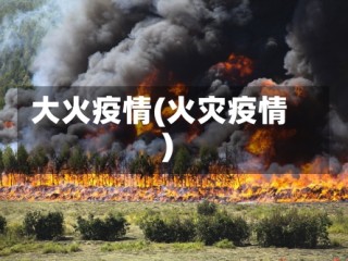 大火疫情(火灾疫情)