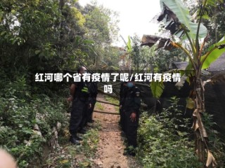红河哪个省有疫情了呢/红河有疫情吗