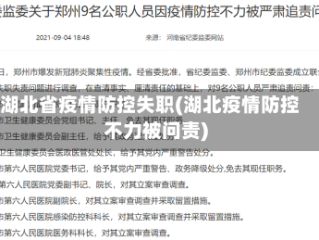 湖北省疫情防控失职(湖北疫情防控不力被问责)