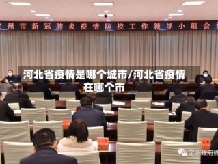 河北省疫情是哪个城市/河北省疫情在哪个市