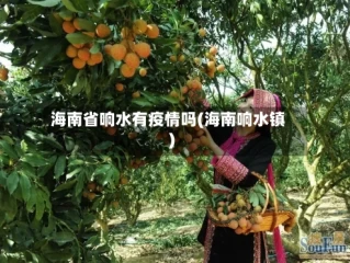 海南省响水有疫情吗(海南响水镇)