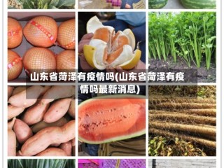 山东省菏泽有疫情吗(山东省菏泽有疫情吗最新消息)